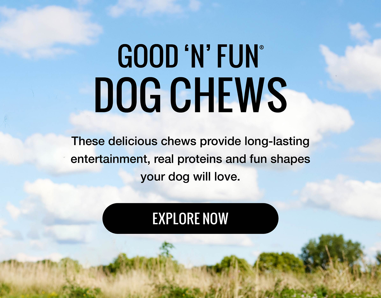 Good 'n' Fun Dog Chews. Explore Now!