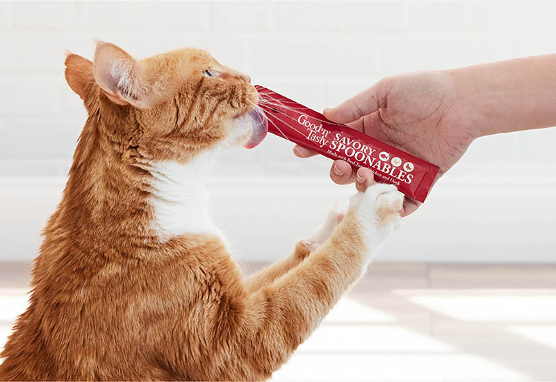 PURR-INDUCING 'N' POUNCE-WORTHY