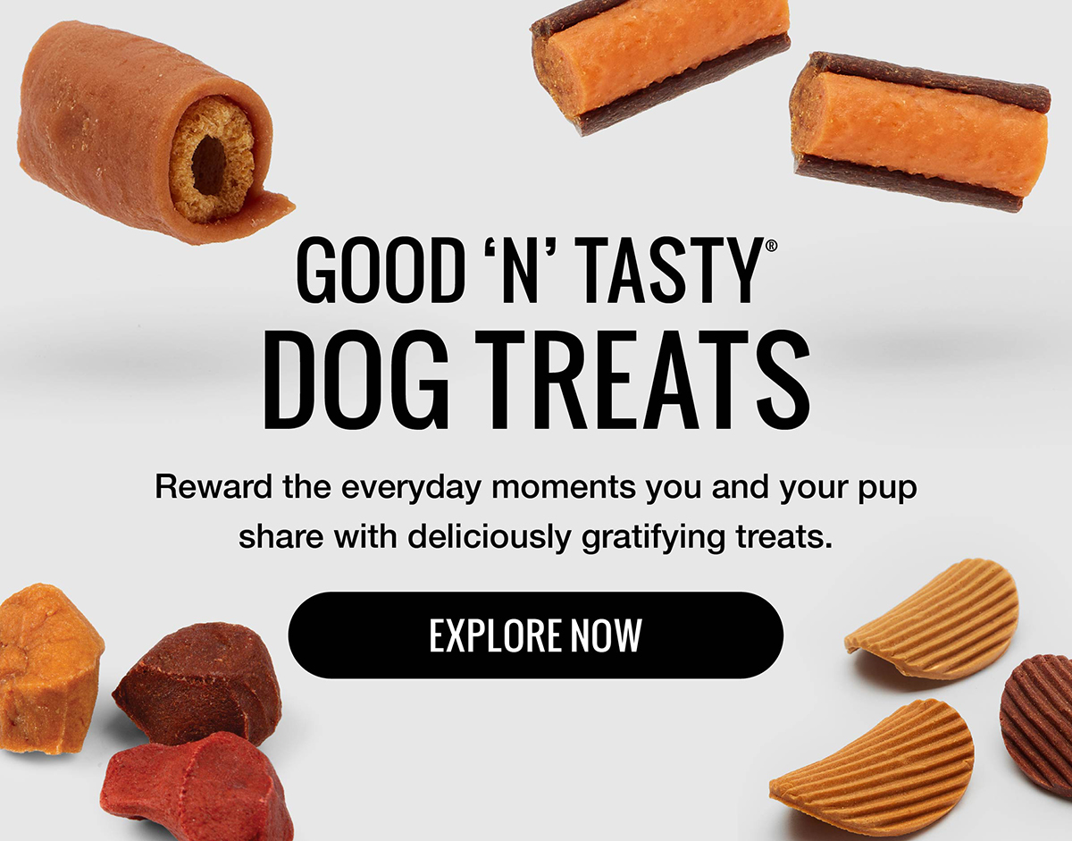 Good 'n' Tasty Dog Treats. Reward the everyday moments you and your pup share with deliciously gratifying treats. Explore Now!