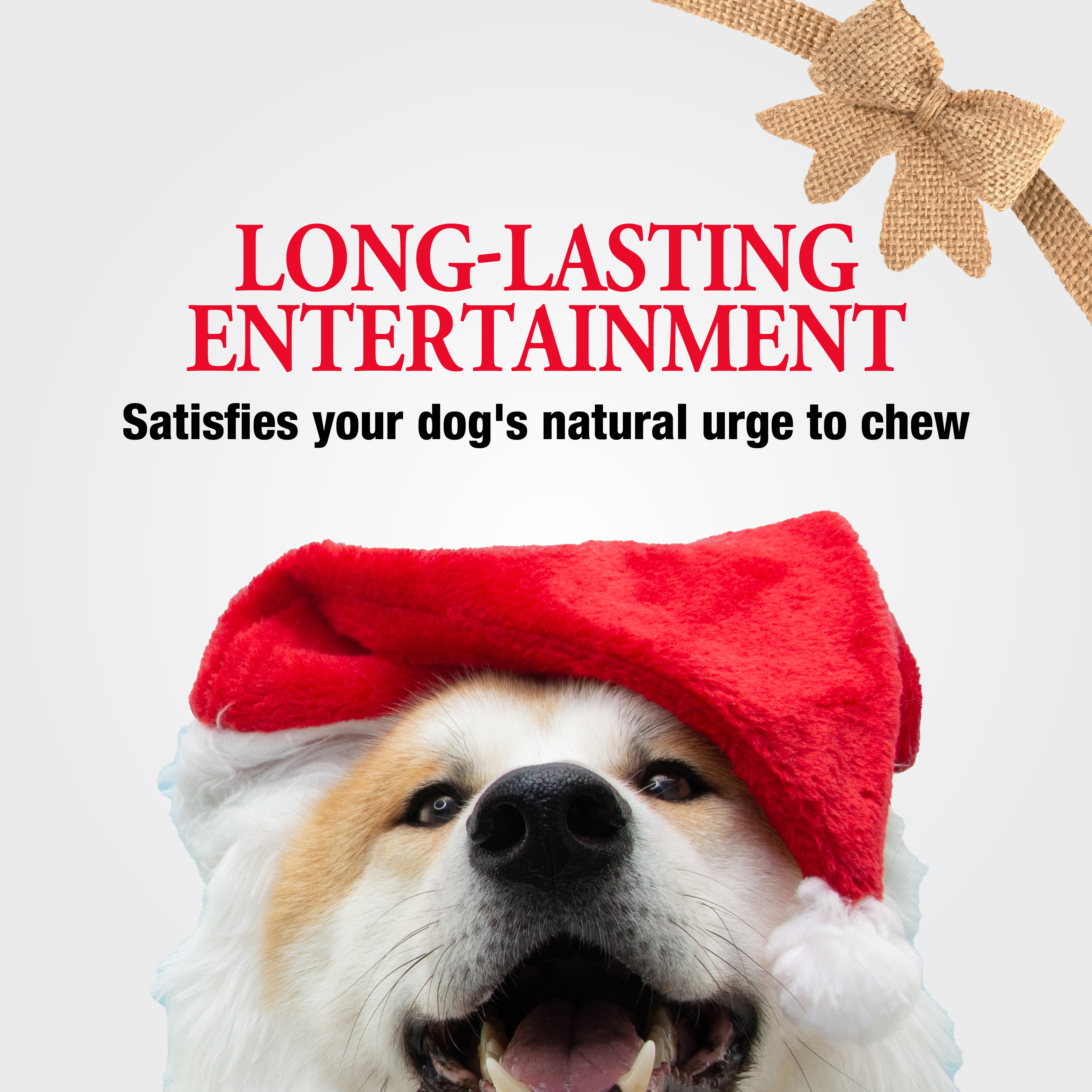 Long-Lasting Entertainment