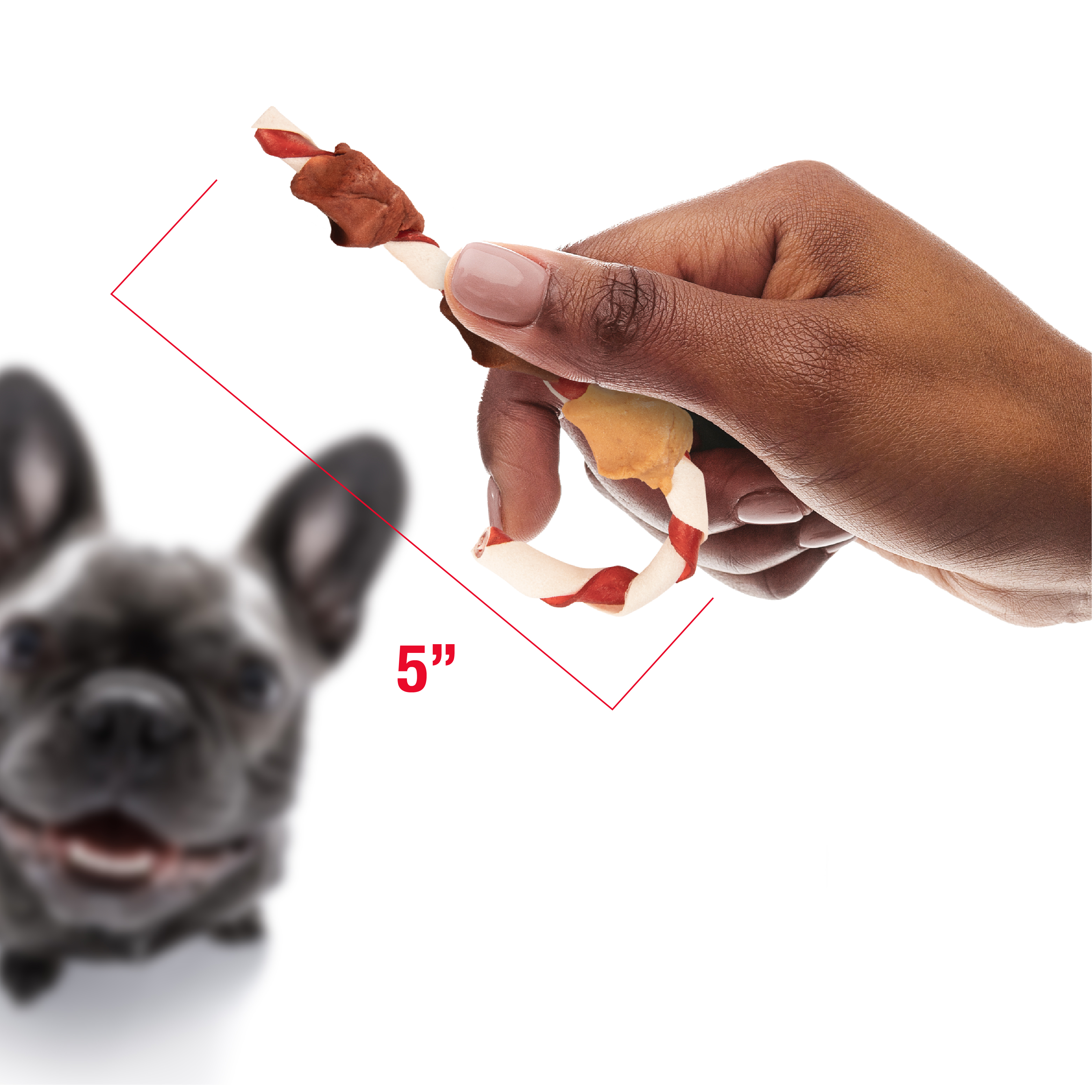 Woman holding dog 5 inch long dog treat