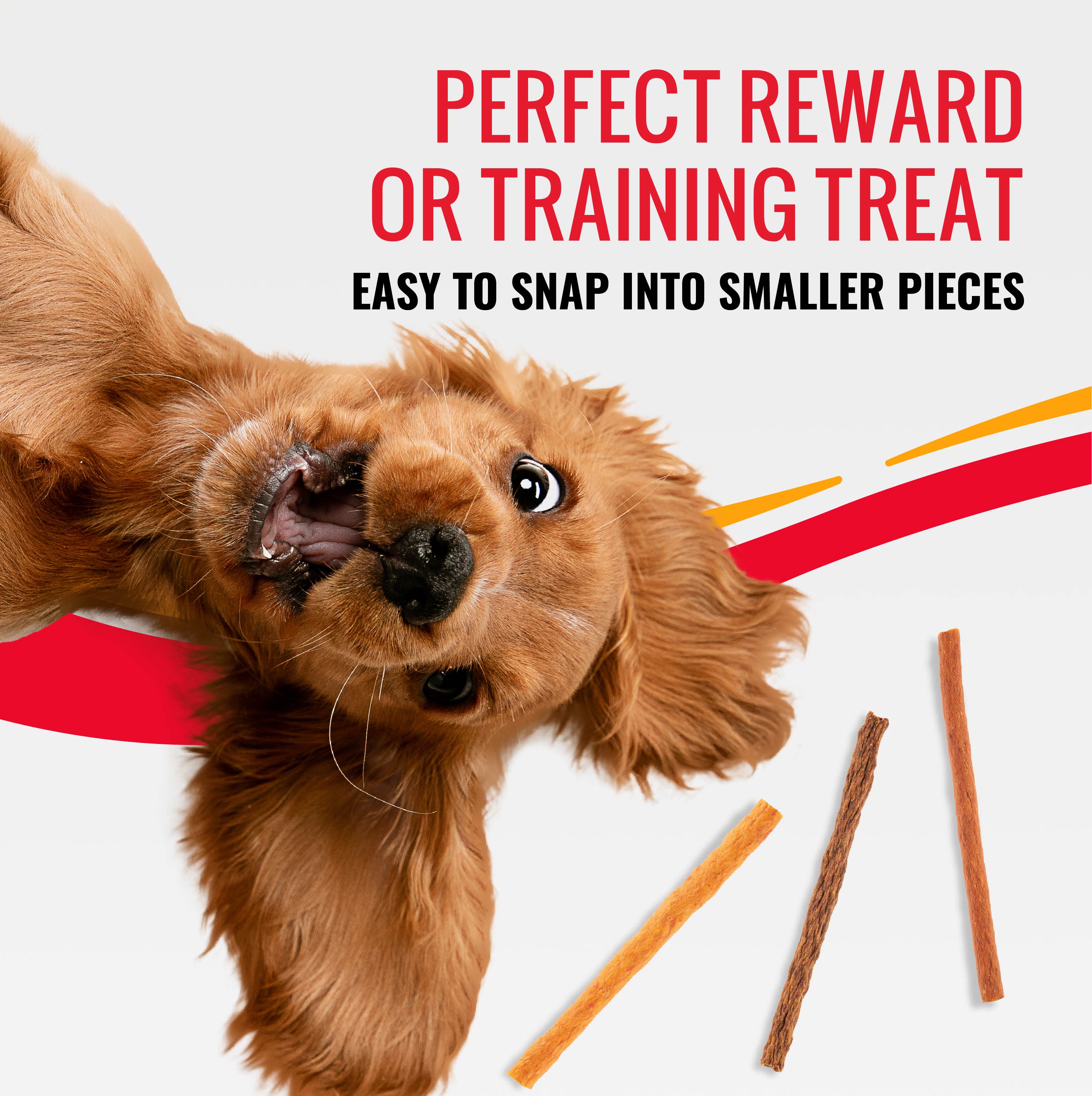 Perfect reward or training treat.