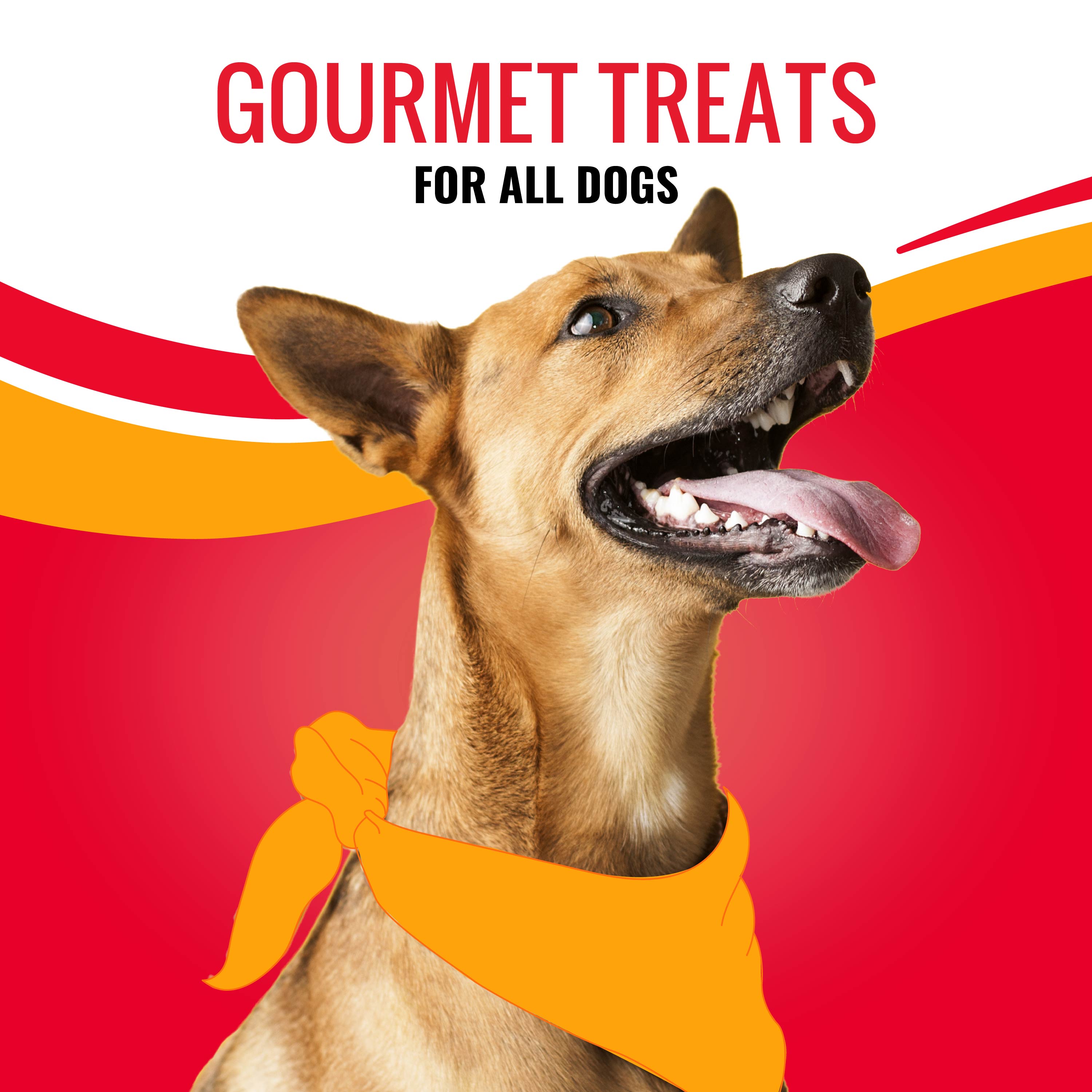 Gourmet Treats for Dogs